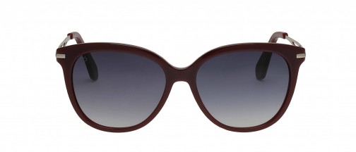 Captain Brook's 1510 C3