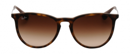 Ray-Ban RB 4171 865/13