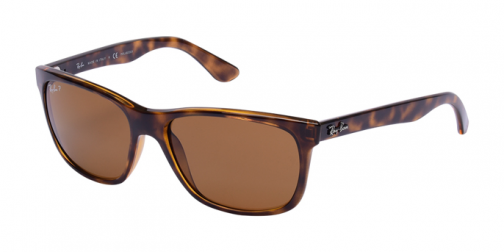 Ray-Ban RB 4181 710/83 - Görsel 2