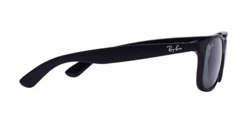 Ray-Ban RB 4202 606971 - Görsel 3